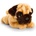 Keel Toys Плюшено легнало куче Keel Toys - Бебе мопс, 32 cm (SD2537)