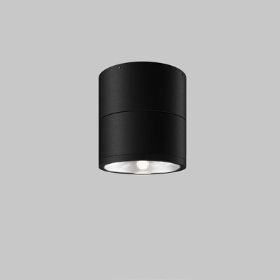 MAYTONI O310CL-L12GF3K