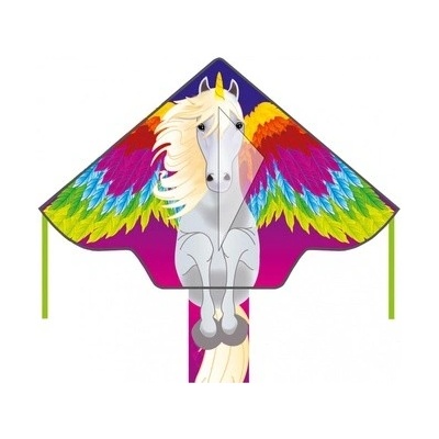 Invento drak Simple Flyer Pegasus