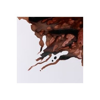 Winsor & Newton drawing INK Nut brown
