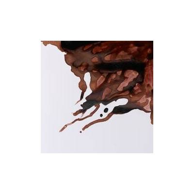 Winsor & Newton drawing INK Nut brown