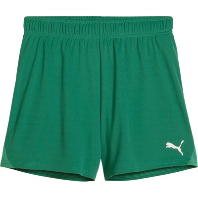 Puma teamGOAL Handball Shorts W 706019-05
