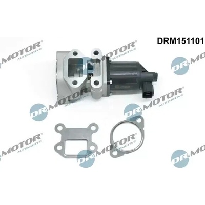 Dr.Motor Automotive AGR ventil DMA DRM151101