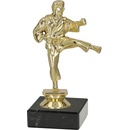 Soška KARATE