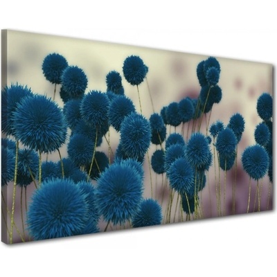Divio Obraz na plátně květiny, vzor 41235 Velikost: 50x100 cm