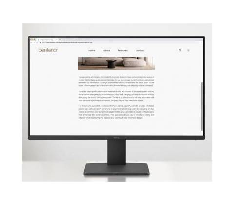 BenQ GW2491