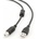 Gembird CCF-USB2-AMBM-6