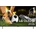 LG OLED48B6ELC (2026)