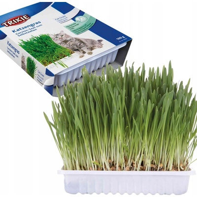 Trixie Tráva pro kočku v misce 100 g – Sleviste.cz