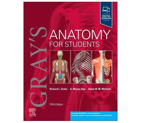 Gray's Anatomy for Students