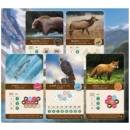 Kaskádie promo karty