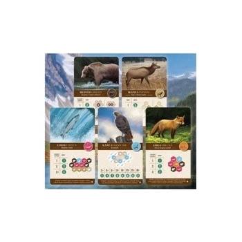 Kaskádie promo karty