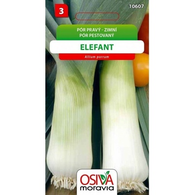 PÓR zimný Elefant