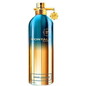 Montale Aoud Lagoon EDP 100 ml Tester Парфюми