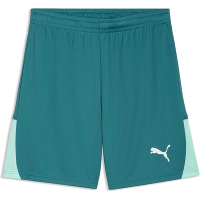 Puma TEAMLIGA 26 SHORTS Zelená Světle zelená Bílá L