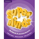 Super Minds Level 6 Workbook + Online Resources