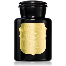 Paddywax Apothecary Noir Palo Santo 226 g