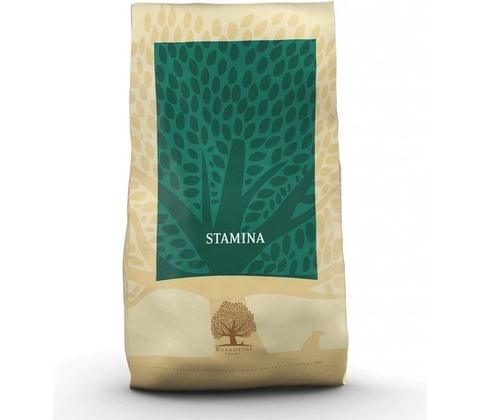 Essential Stamina 10 kg