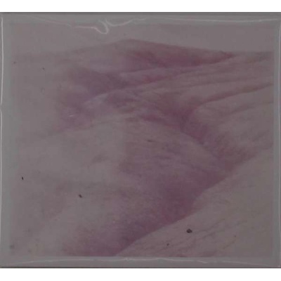 THEODORE WILD RIDE - THEODORE WILD RIDE CD