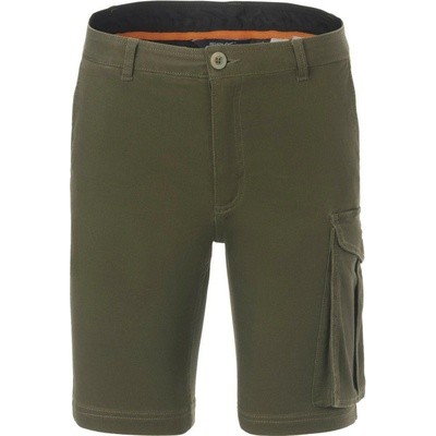 Regatta Bendrick Shorts