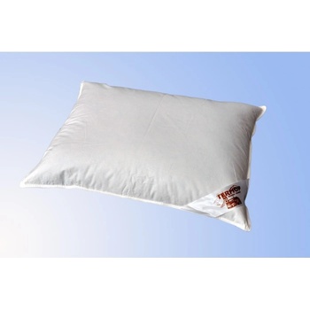 Termop vankúš Classic perie/páper 70x90