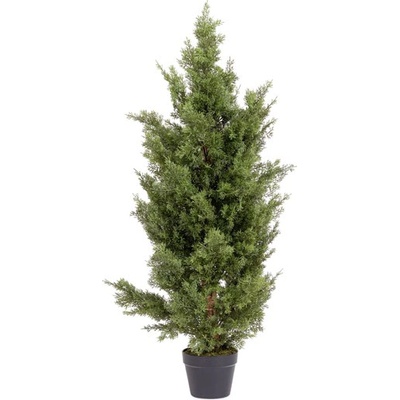 Bizzotto Кипарис растение в саксия UV H120 cm (0173164)