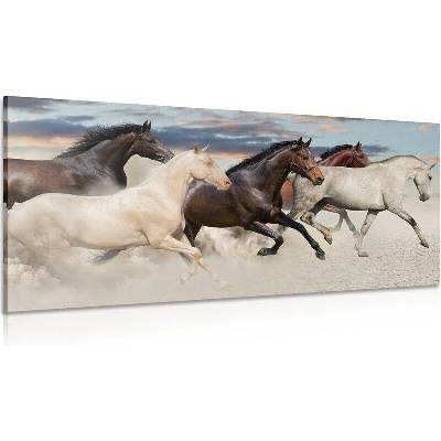 Obraz stádo koní - 120x60