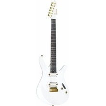 Divitone DSG-10