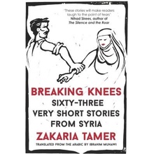 Breaking Knees Tamer ZakariaPaperback