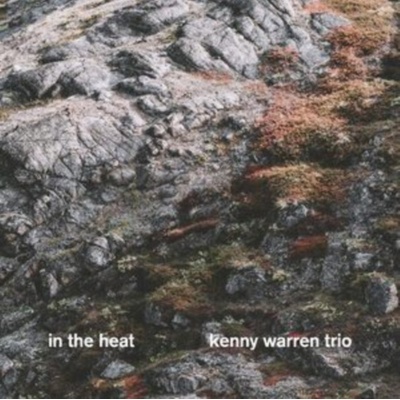 FIRE IN THE ATTIC: CUM GRANO SALIS CD