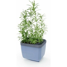 Gusta Garden GG-123F10