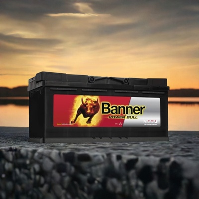 Banner Power Bull PROfessional 12V 110Ah 850A P110 40
