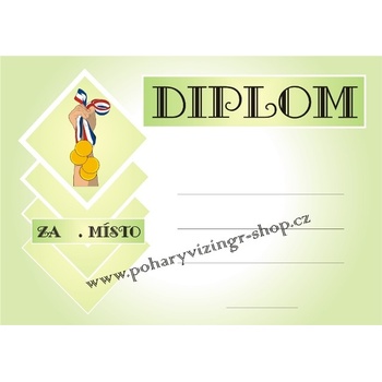 VIZINGR Diplom A4 D č.21