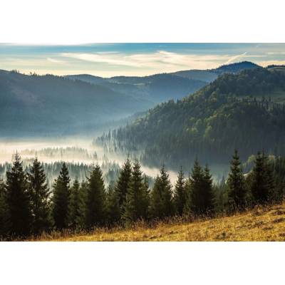 Postershop Fototapeta vliesováLesní příroda horská krajina rozměry 104x70,5cm
