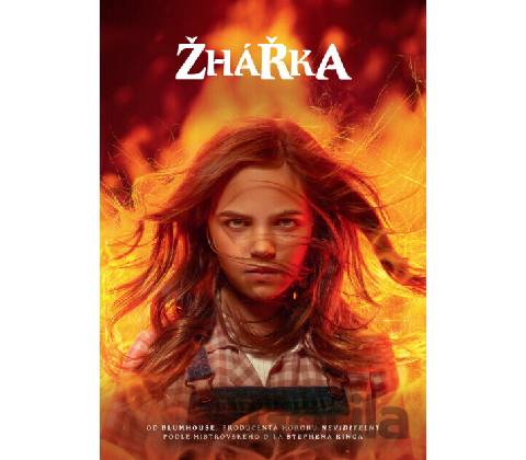 Žhářka DVD