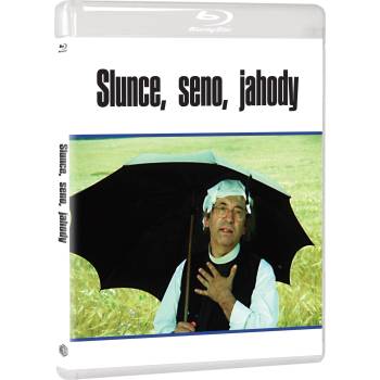 MagicBox Sun, Hay, Berries - Blu-ray (085841)