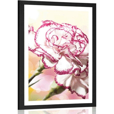 Plakát s paspartou elegantní karafiát - 30x45 black