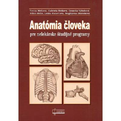 Anatómia človeka pre nelekárske študijné odbory 3.vydanie - kolektiv