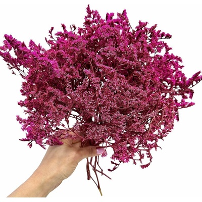 Dovoz z EU Statice tatarika purpurová svazek 90g