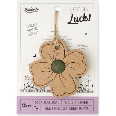 Blossombs Semínková bomba - Dárková dekorace "Hodně štěstí" - Čtyřlístek (1 ks) – Zbozi.Blesk.cz