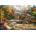Grafika Art Puzzle - Puzzle Call of the Wild II - 2 000 piese