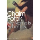 My Name is Asher Lev