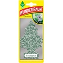 WUNDER-BAUM Eucalyptus