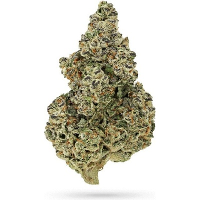 Growers Choice Crazy Roses Fast Version semienka neobsahujú THC 3 ks
