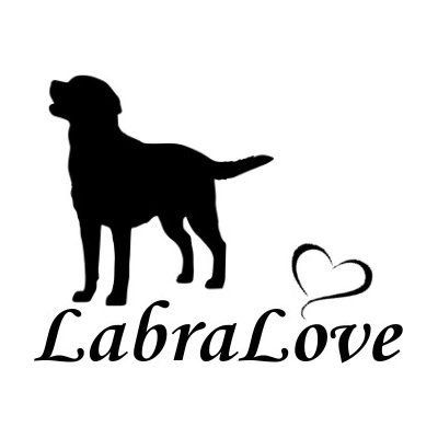 Nažehlovací nápis pes - Love Vzor: 3