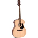 Ditson G-10