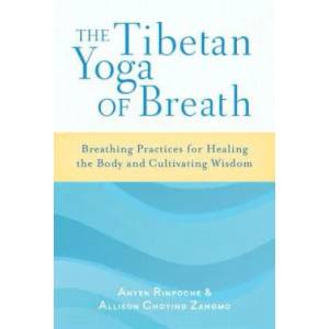 Tibetan Yoga of Breath | Anyen Rinpoche, Allison Choying Zangmo (ISBN: 9781611800883)