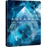MagicBox Aquaman a ztracené království (Steelbook) - 2Blu-ray (4K Ultra HD + Blu-ray) (069056)