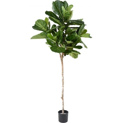 Luxusní umělý strom FICUS LYRATA TIGE TETE, 215cm