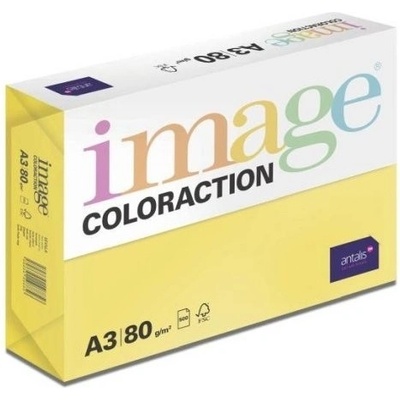 Papír barevný A4 80 g Image Coloraction DG47 Dublin tmavě zelená – Zboží Dáma